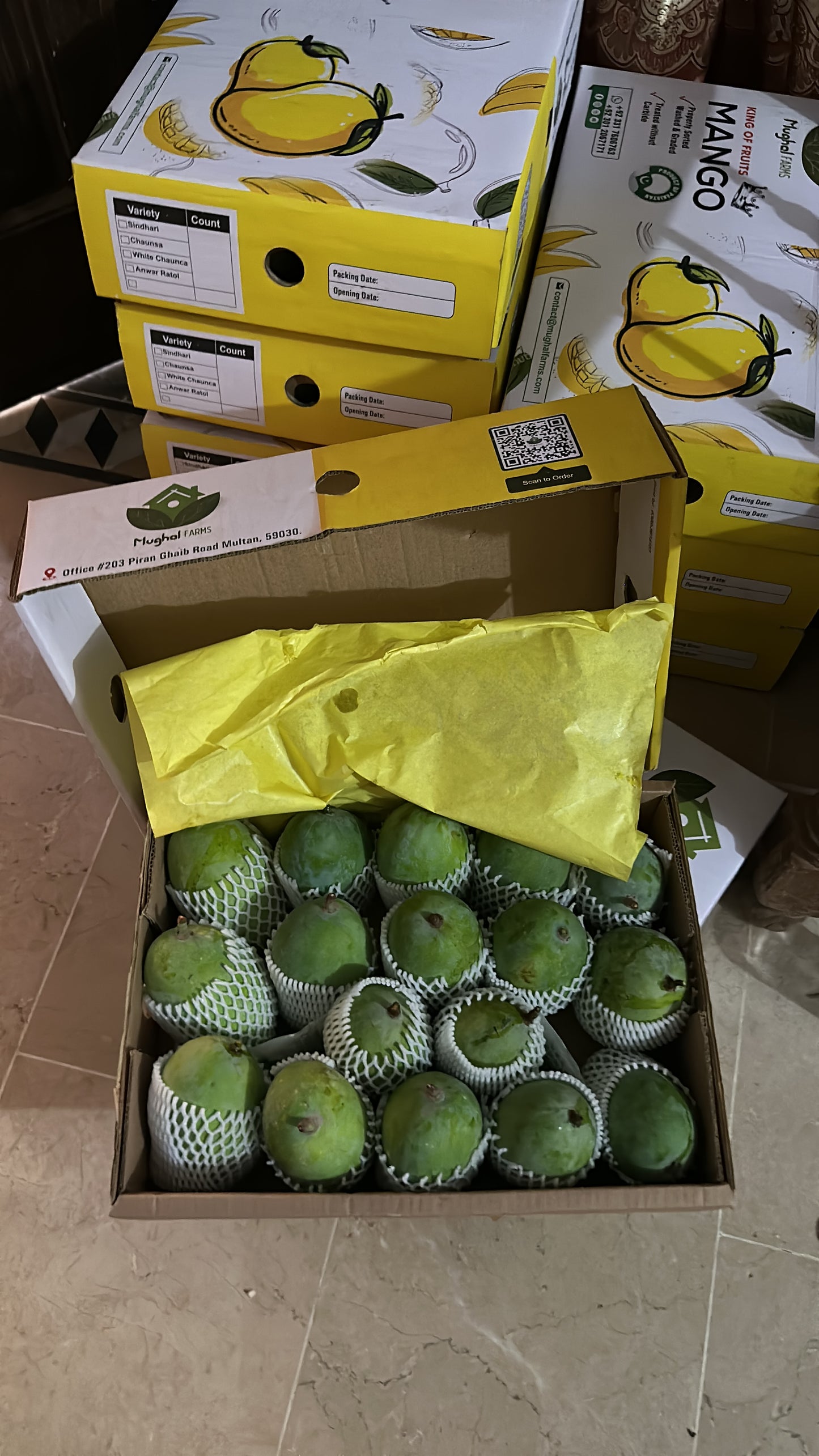 Export Quality Dussehri Mango Box