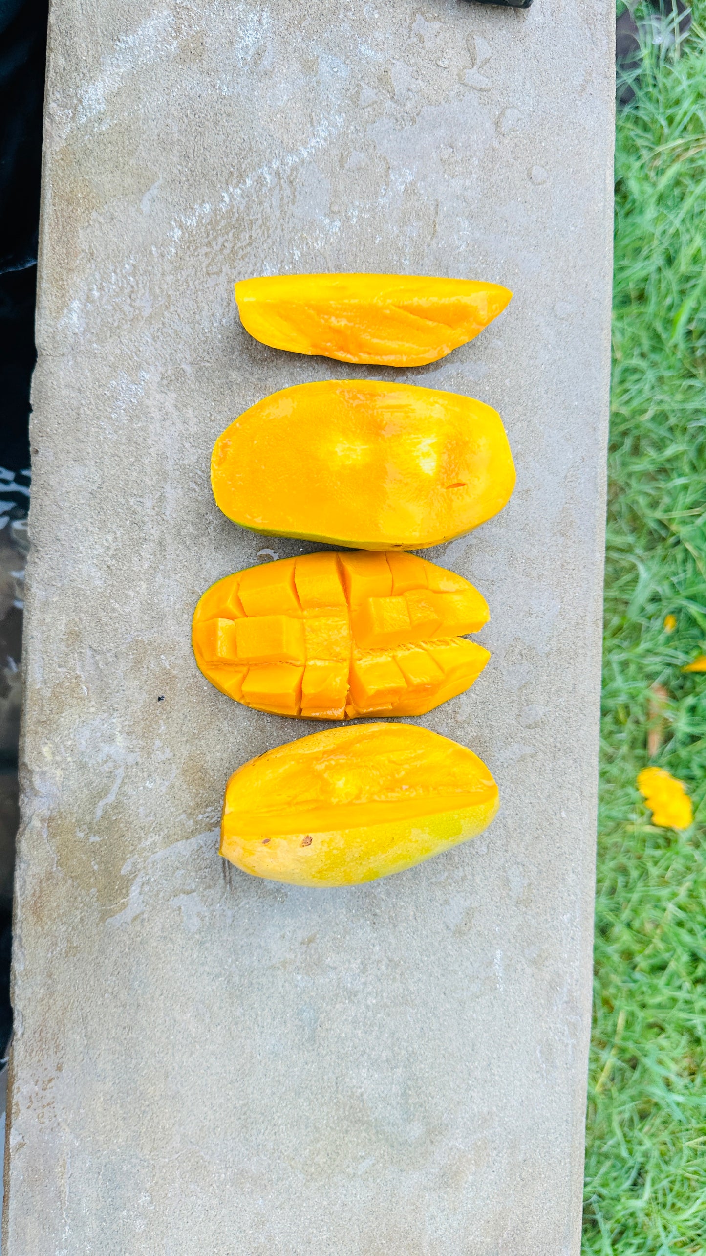 Export Quality Chaunsa Mango Box