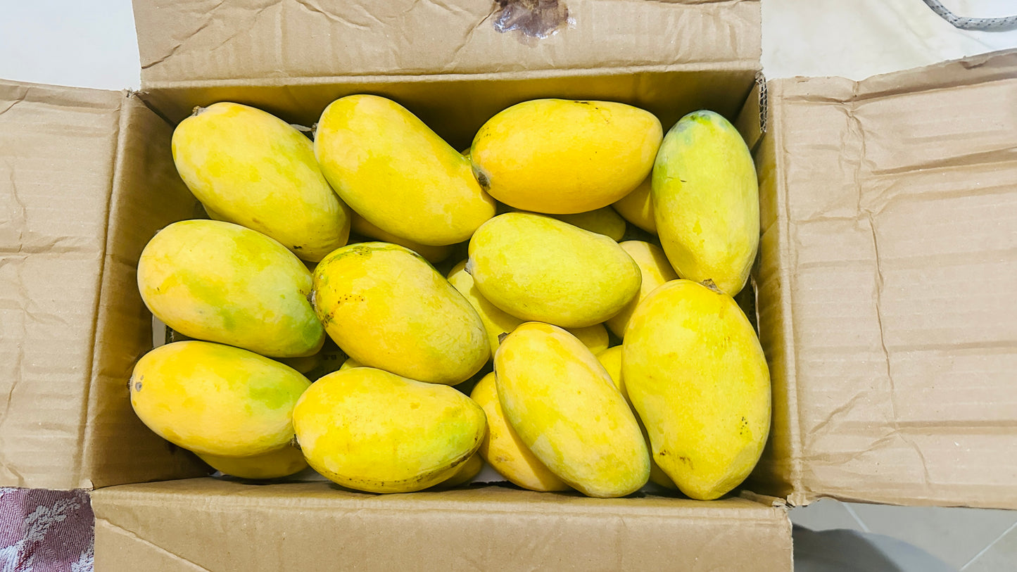 Export Quality Chaunsa Mango Box