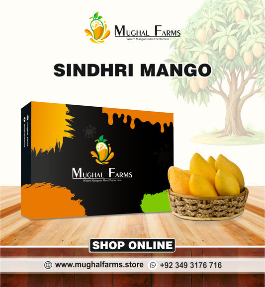 Export Quality Sindhri Mango Box