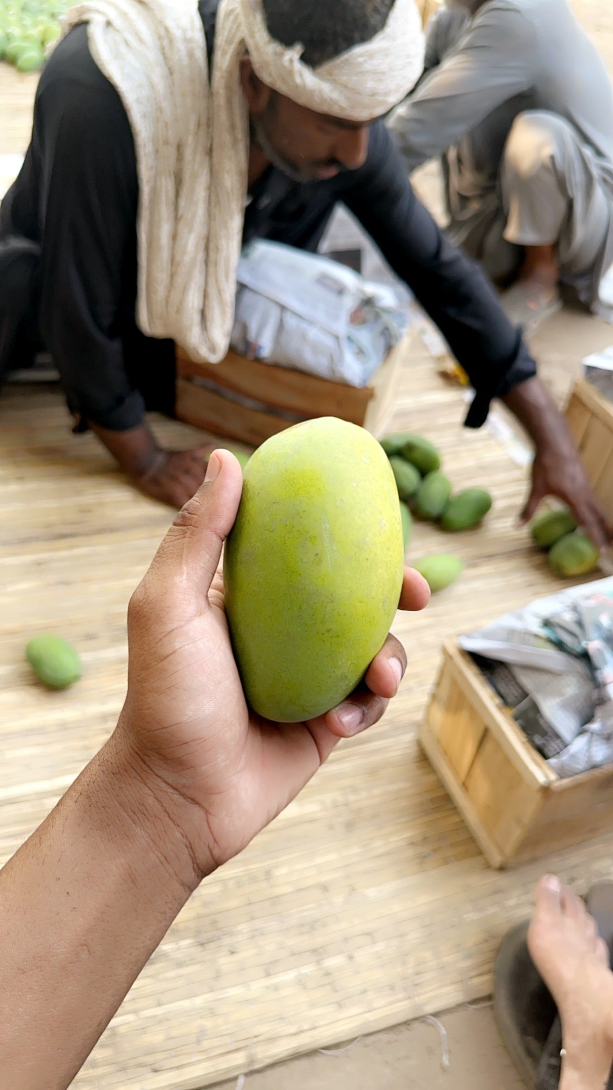 Export Quality Dussehri Mango Box