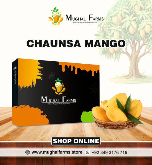 Export Quality Chaunsa Mango Box
