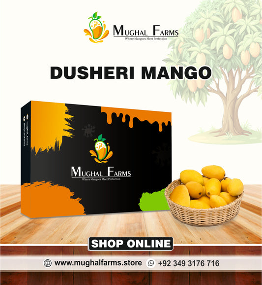 Export Quality Dussehri Mango Box