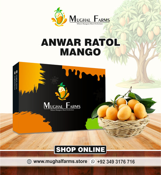 Export Quality Anwar Ratol Mango Box
