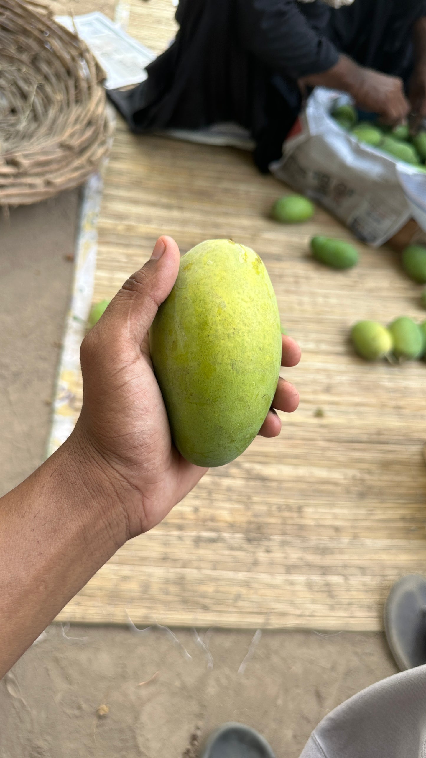 Export Quality Dussehri Mango Box